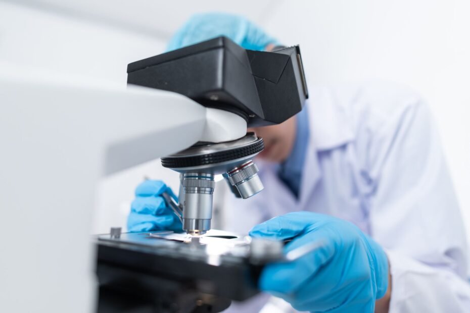 A Blueprint for Regeneration: Understanding Stem Cell Behavior in Planarian Eye — stem cell therapy
