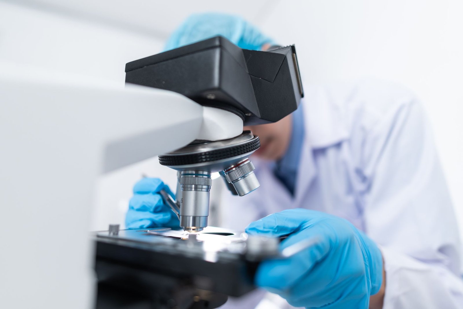 A Blueprint for Regeneration: Understanding Stem Cell Behavior in Planarian Eye 