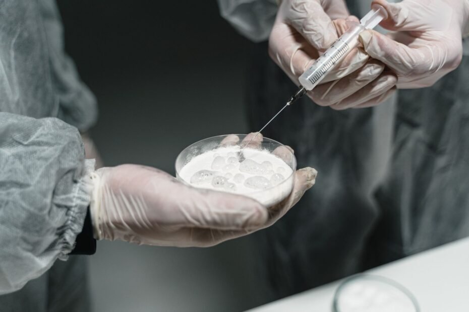 Exploring Cancer and Stem Cells: Potential Therapies — stem cell therapy