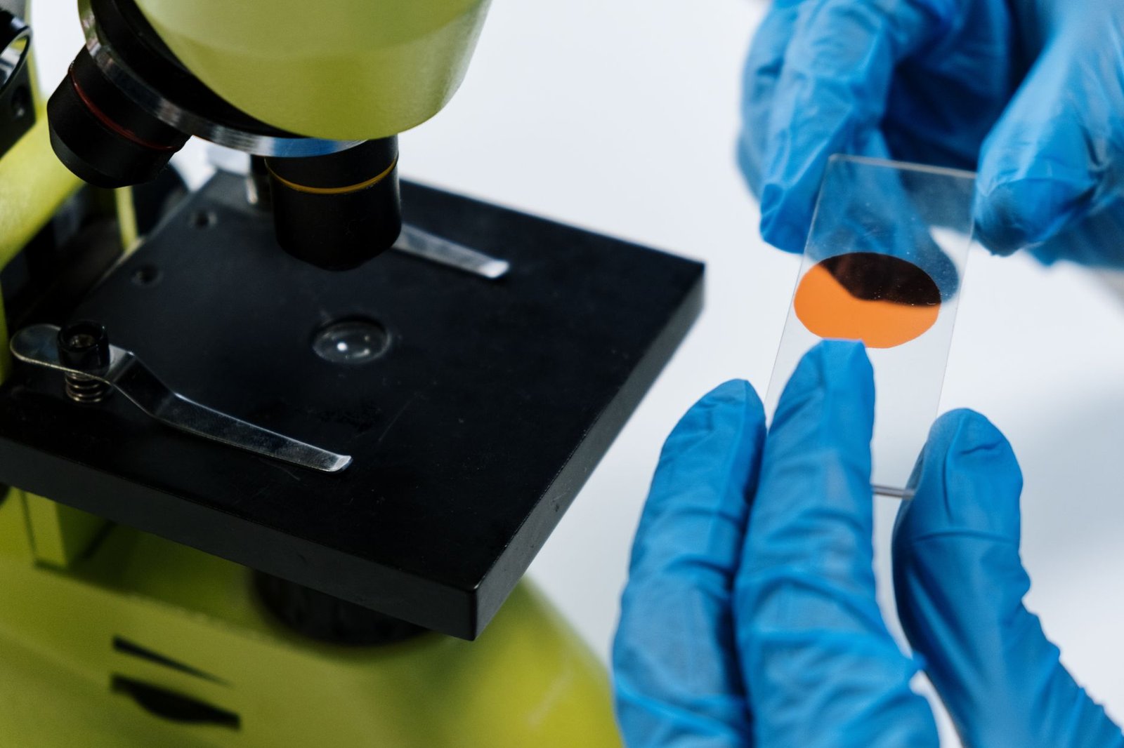 Exploring Stem Cells Therapy and COPD: A Journey to Recovery — stem cell therapy