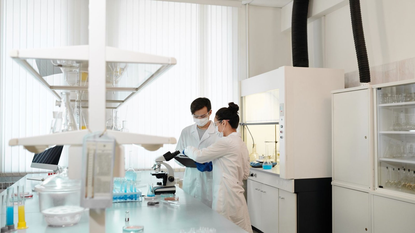 Exploring the Connection Between Stem Cells and Aging and Disease — stem cell th