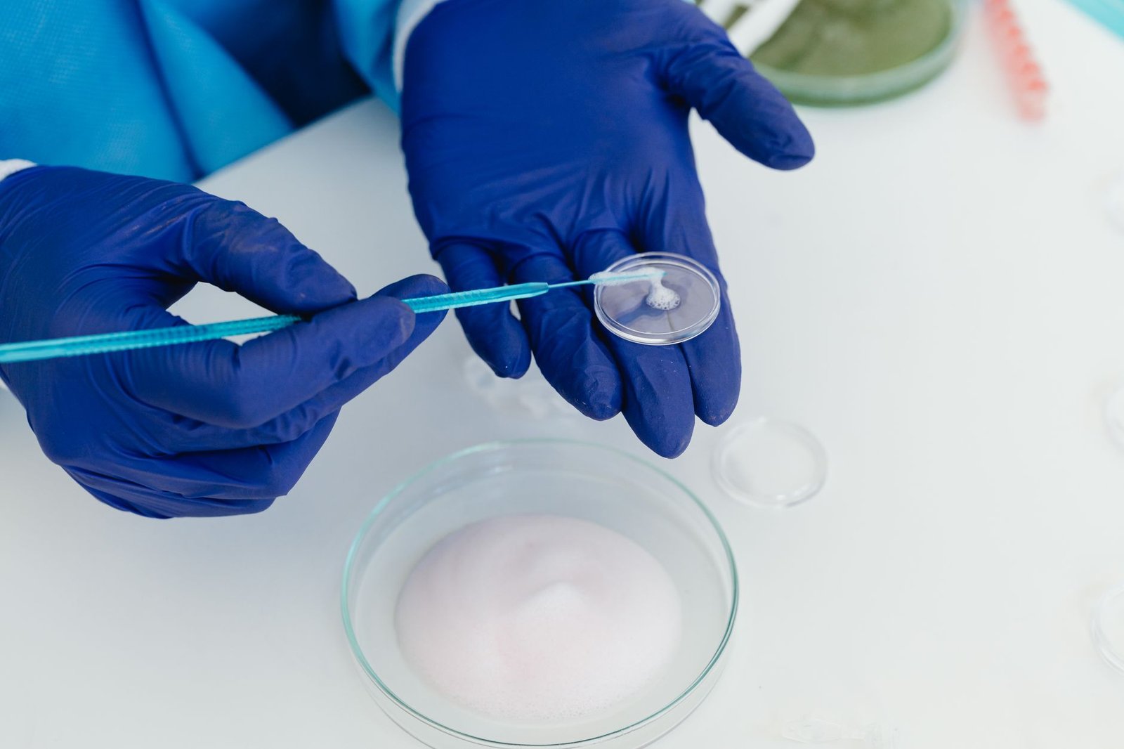 Gene Silencing and Stem Cell Therapy: A New Frontier — stem cell therapy