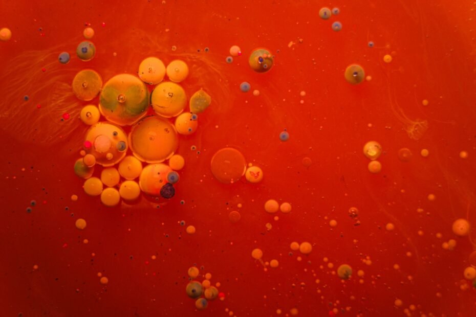 How Do Stem Cells Work in the Body? — stem cell therapy