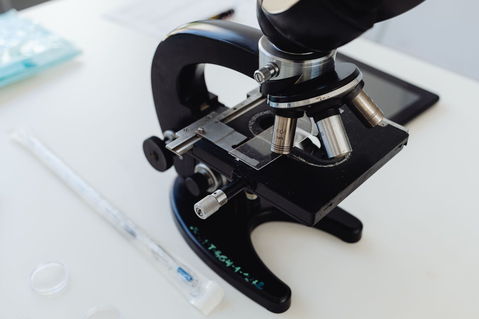 How to Choose the Right Stem Cell Treatment for Chronic Pain Relief — stem cell