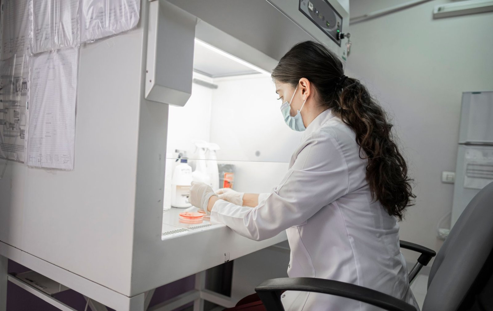 How to Heal Osteoarthritis with Stem Cells: A Comprehensive Guide — stem cell th