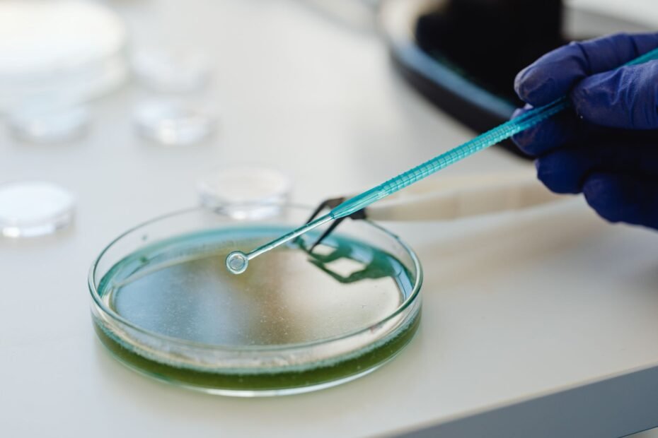Stem Cell Research Breakthrough: Scientists Reverse Age-Related Decline in Mice — stem cell therapy