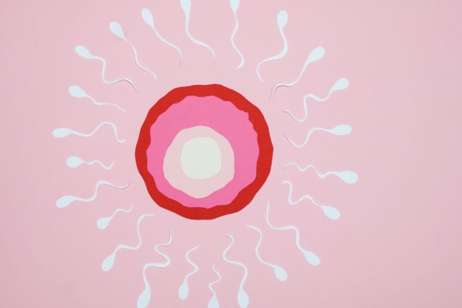 Stem Cell Technology Explained: How It Works and Why It Matters — stem cell therapy