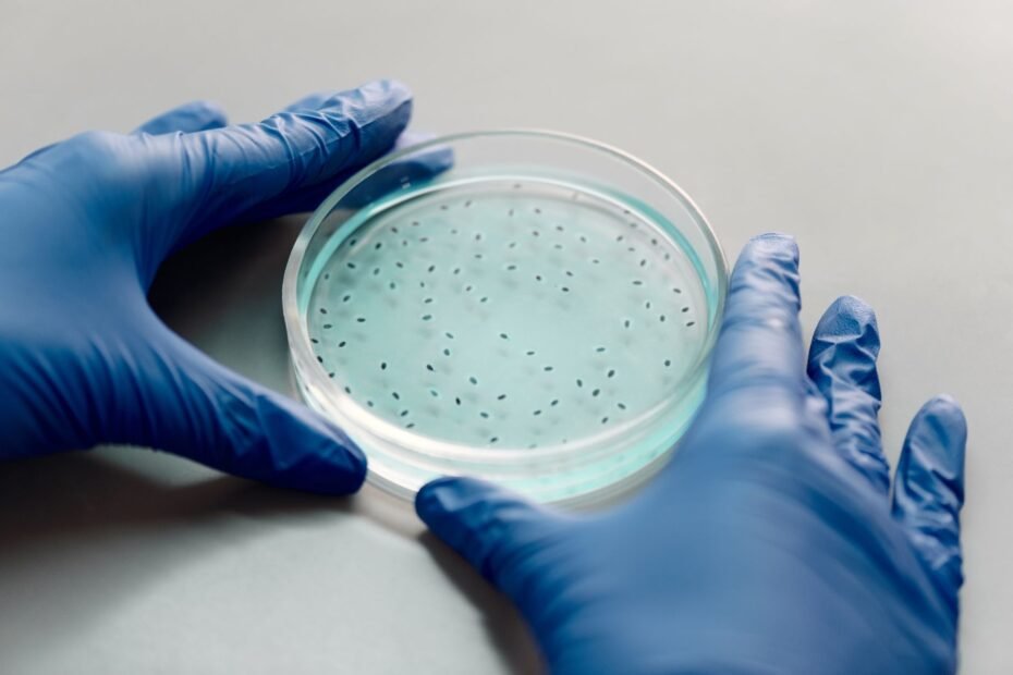 The Secret to Youthful Skin: Umbilical Stem Cell Treatment — stem cell therapy