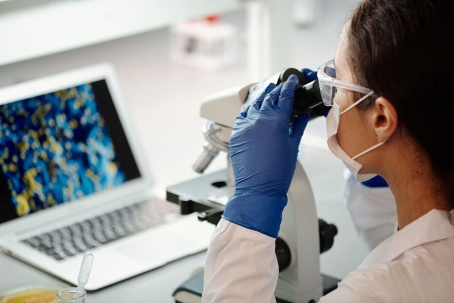 Understanding the Potential of Stem Cell Therapies — stem cell therapy