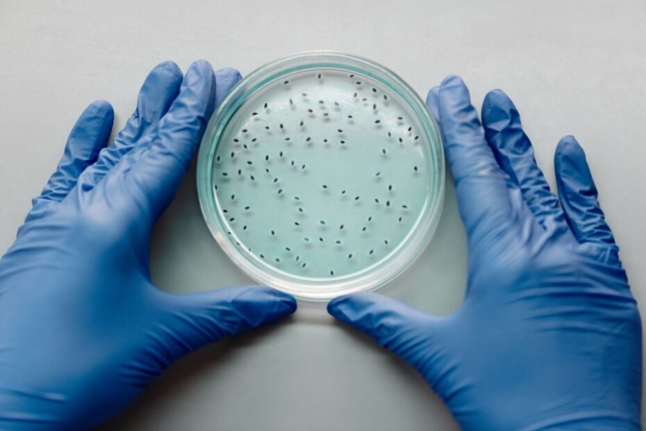 Unique Cartilage Conditions: From Cancer to Piercings — stem cell therapy