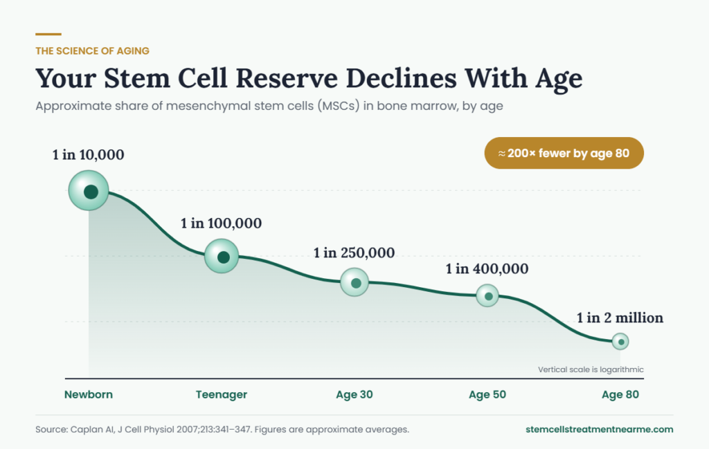 Chart: stem cells in bone marrow decline from about 1 in 10,000 at birth to 1 in 2 million by age 80