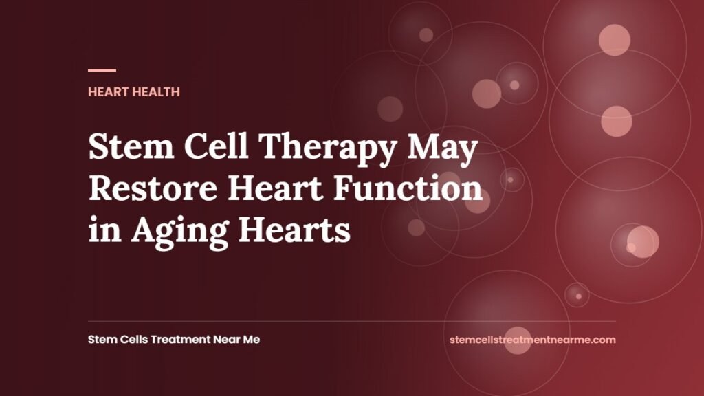 Stem Cell Therapy May Restore Heart Function in Aging Hearts