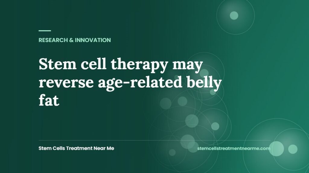 Stem cell therapy may reverse age-related belly fat