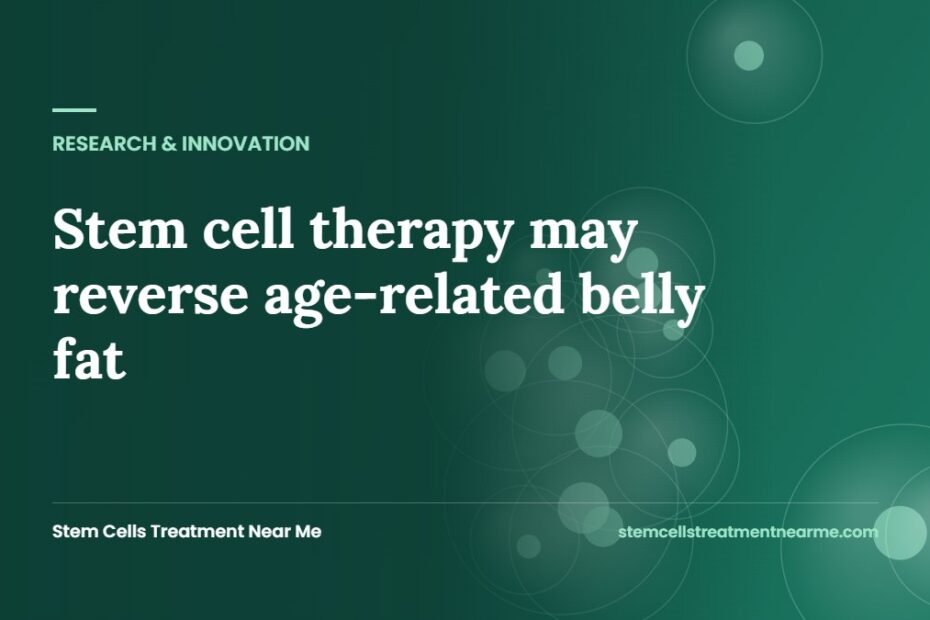 Stem cell therapy may reverse age-related belly fat